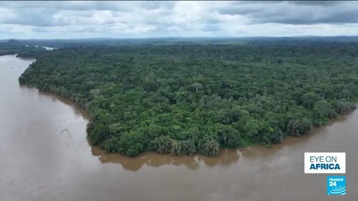 Sierra Leone’s Tiwai Reserve joins UNESCO World Heritage list
