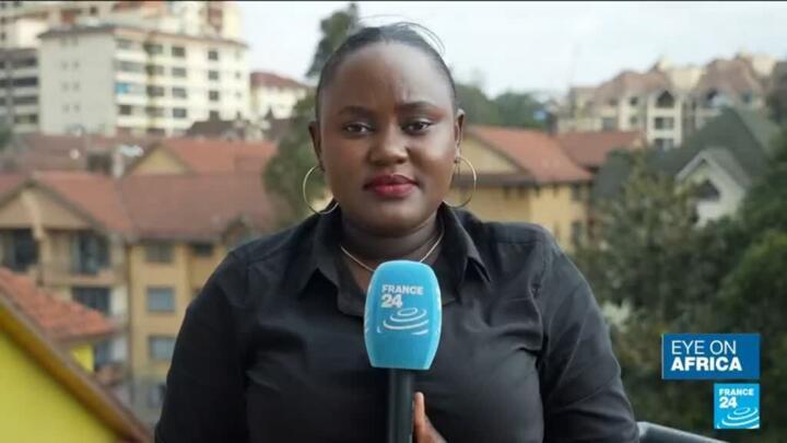 Kenya presidential election: Odinga challenges election result 'criminality' in court