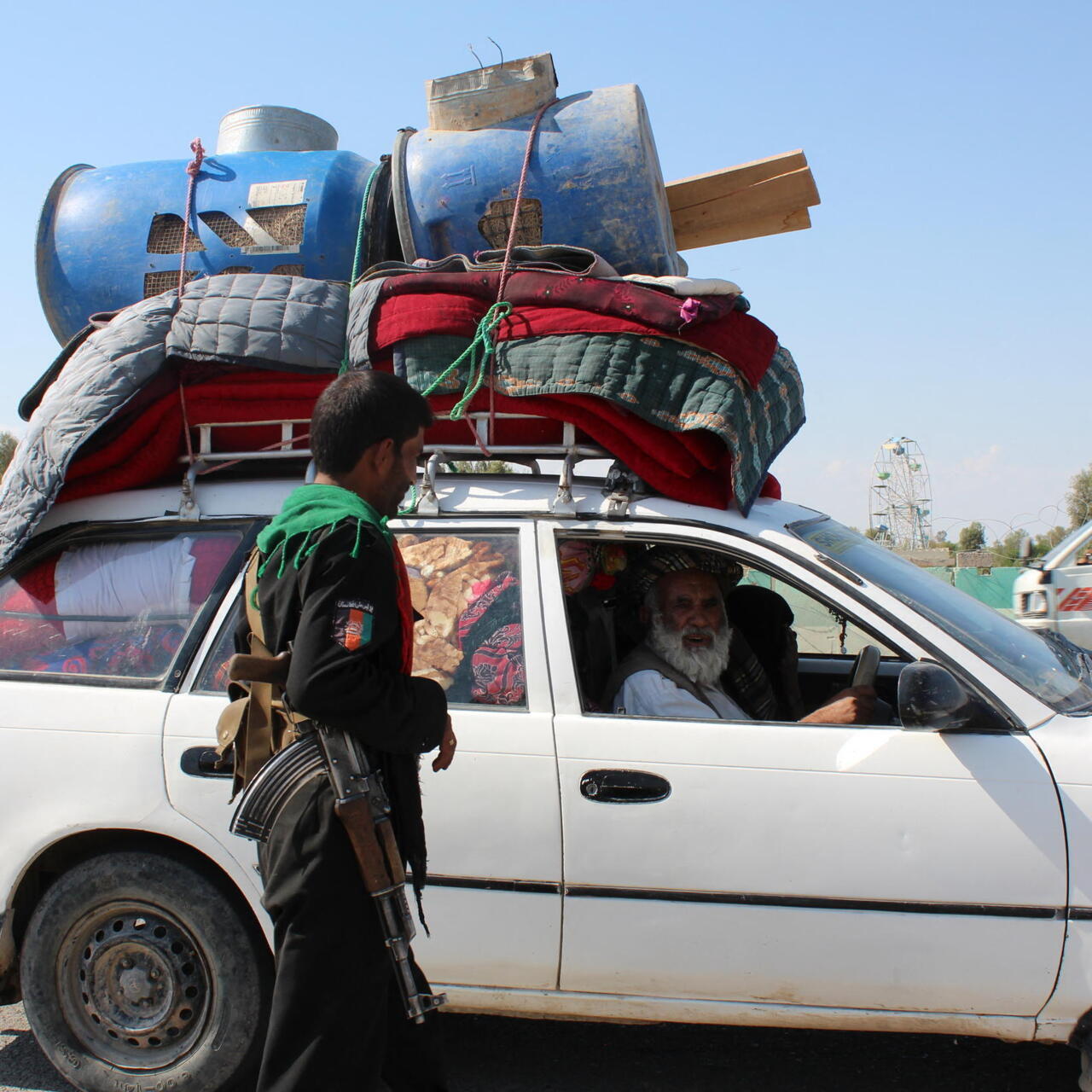 Dani verissimo porno video