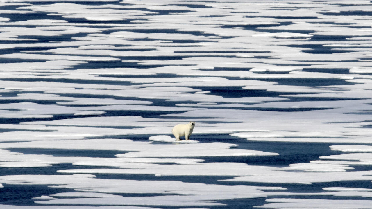 From climate collapse to the end of NATO: Finland outlines scenarios for the world in 2045