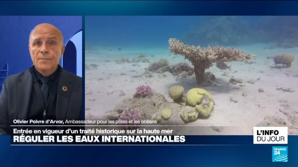 Traité sur la haute mer : "C'est un jour historique"