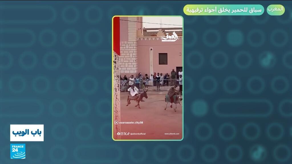 المغرب.. سباق للحمير يخلق أجواء ترفيهية