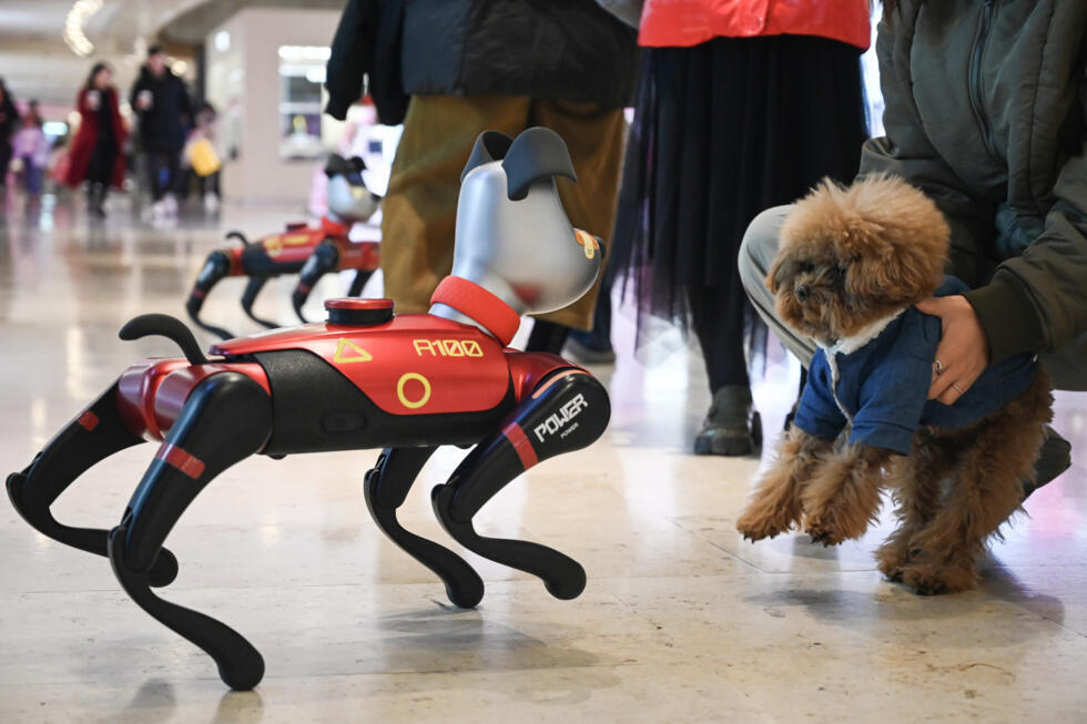 AI-Powered Pets: 5 Breakthrough Features for Stress Relief