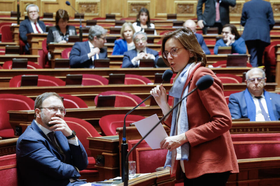 La ministre des Comptes publics Amélie de Montchalin le 23 janvier 2025 au Sénat, à Paris