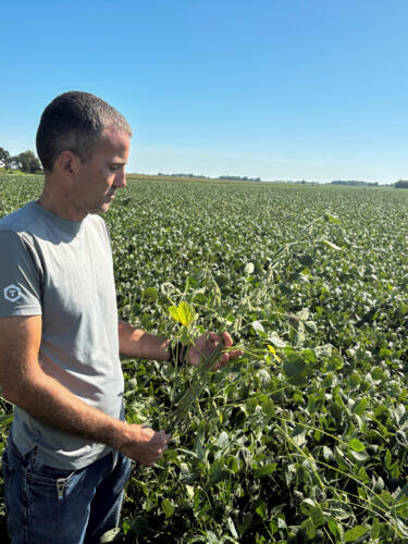 Soya, la nueva protagonista de la disputa comercial entre Estados Unidos y China