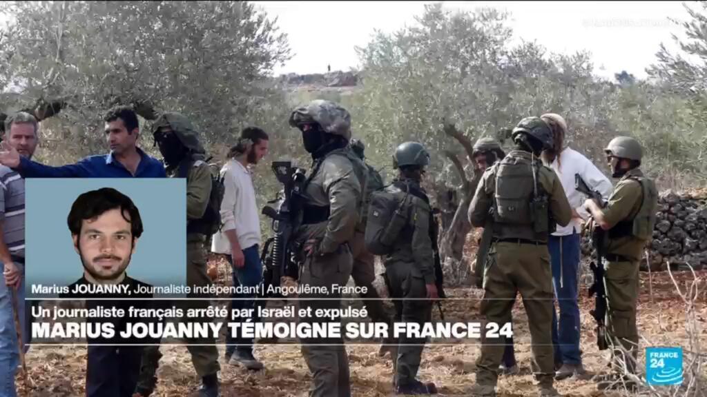 En Cisjordanie occupée, la récolte des olives n’aura pas lieu