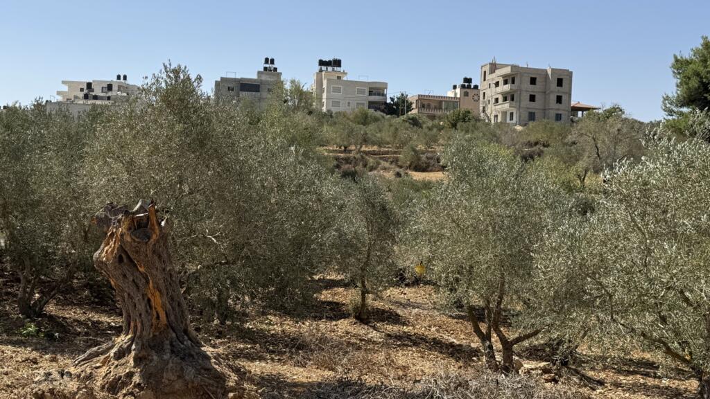 إصابة فلسطينيين وصحافية في رويترز بهجوم شنه مستوطنون إسرائيليون في الضفة الغربية