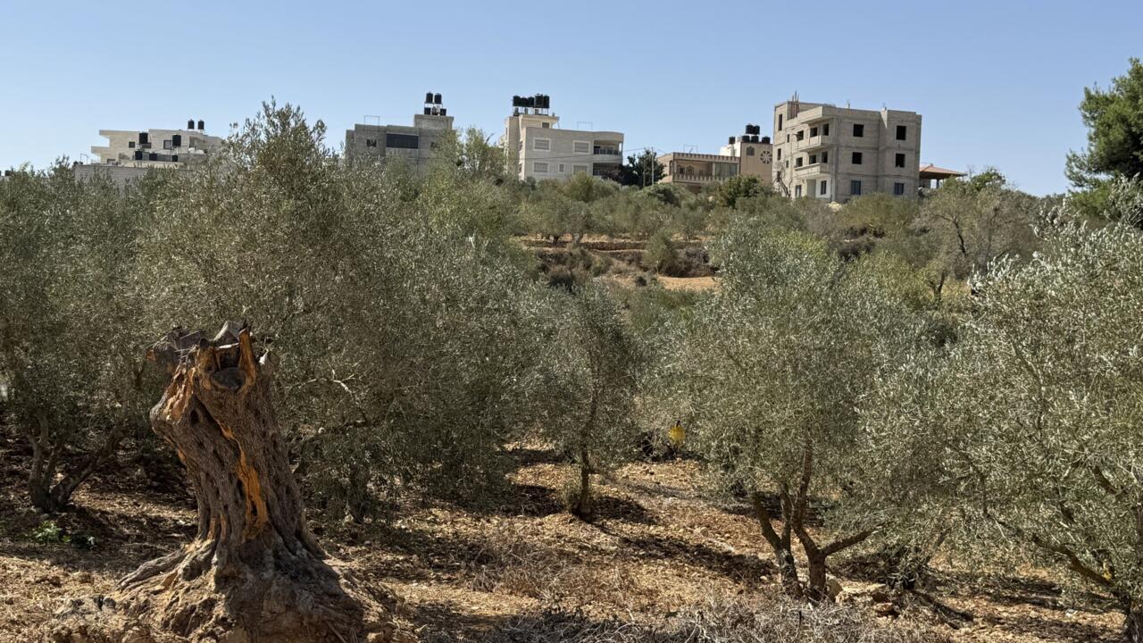 الجيش الإسرائيلي يعتقل مستوطنين بعد هجمات واسعة على قرى فلسطينية قرب طولكرم