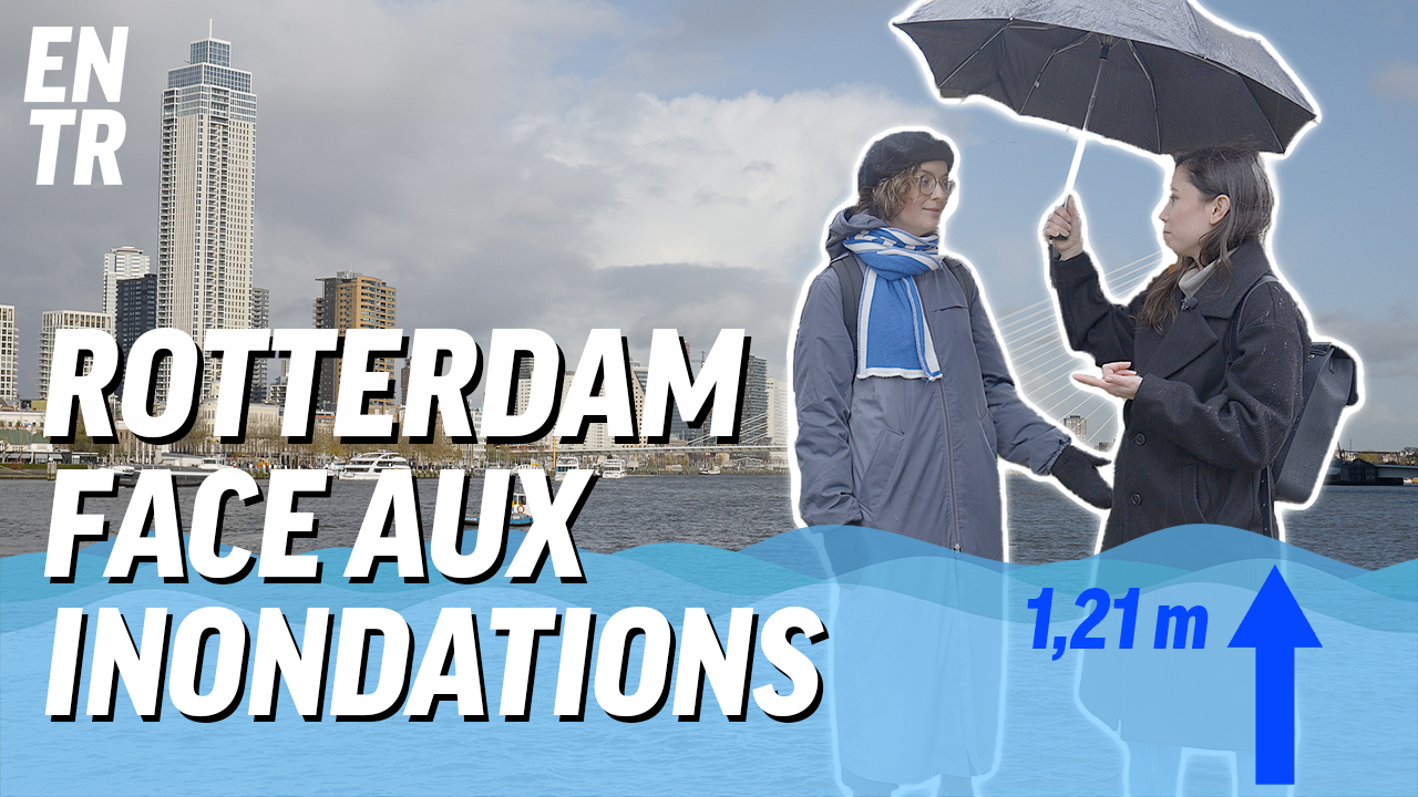 Comment Rotterdam se prépare à faire face à la montée des eaux