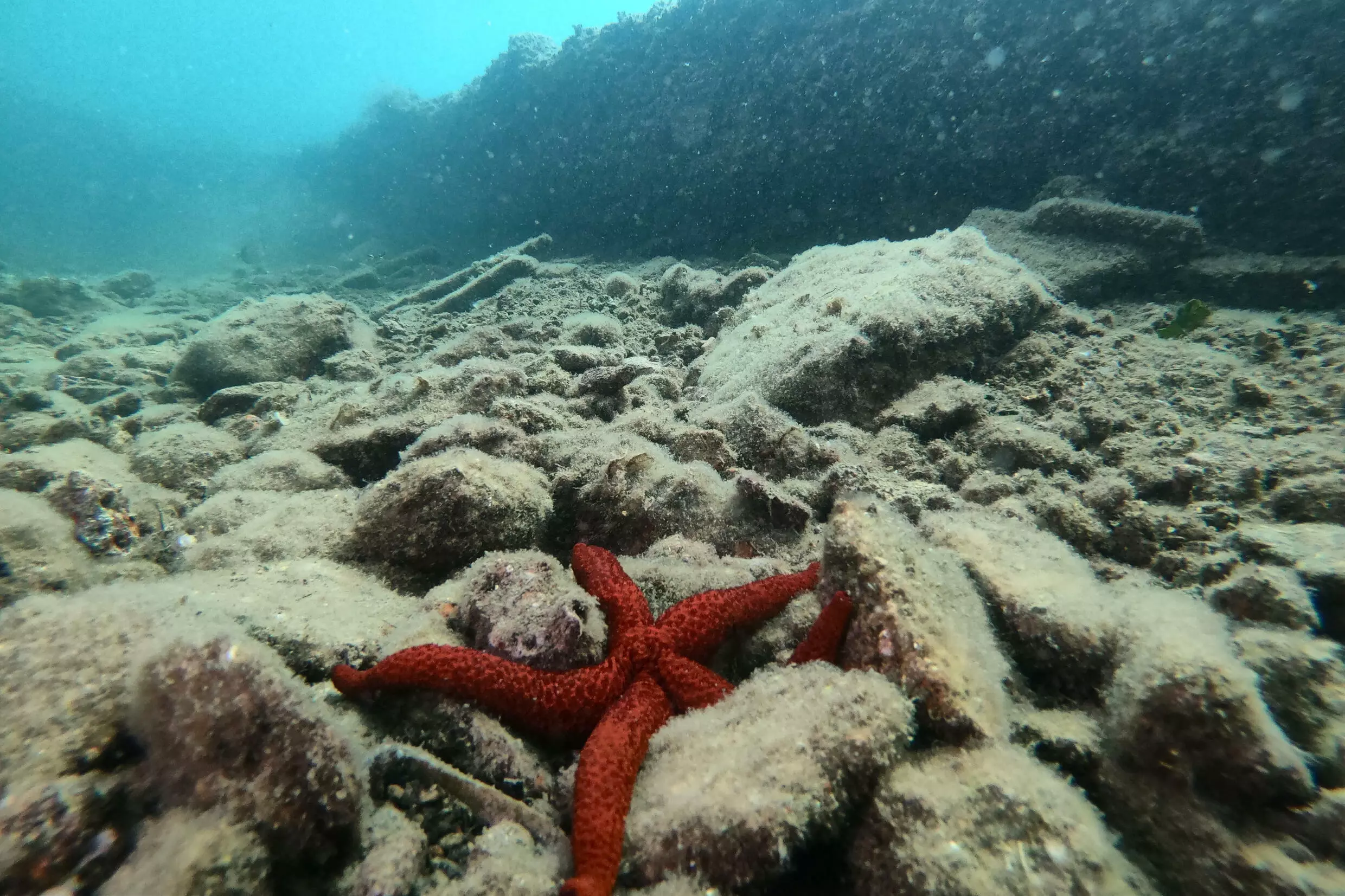 "There are undoubtedly still ancient relics to be found," said the archaeologist in charge of the Baiae park