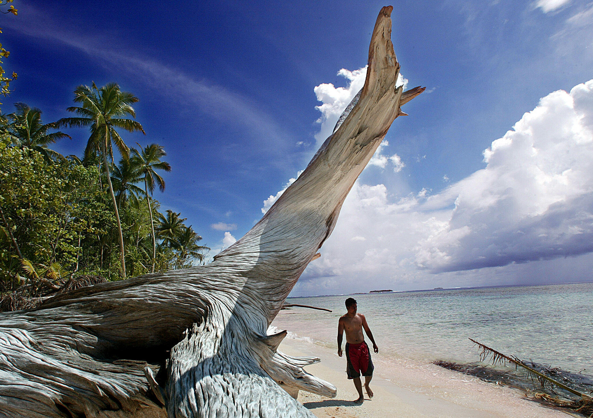 L'île de Tipoca fait partie de l'île de Tuvalu, que certains craignent d'être dépassée par l'élévation du niveau de la mer et rayée de la carte.