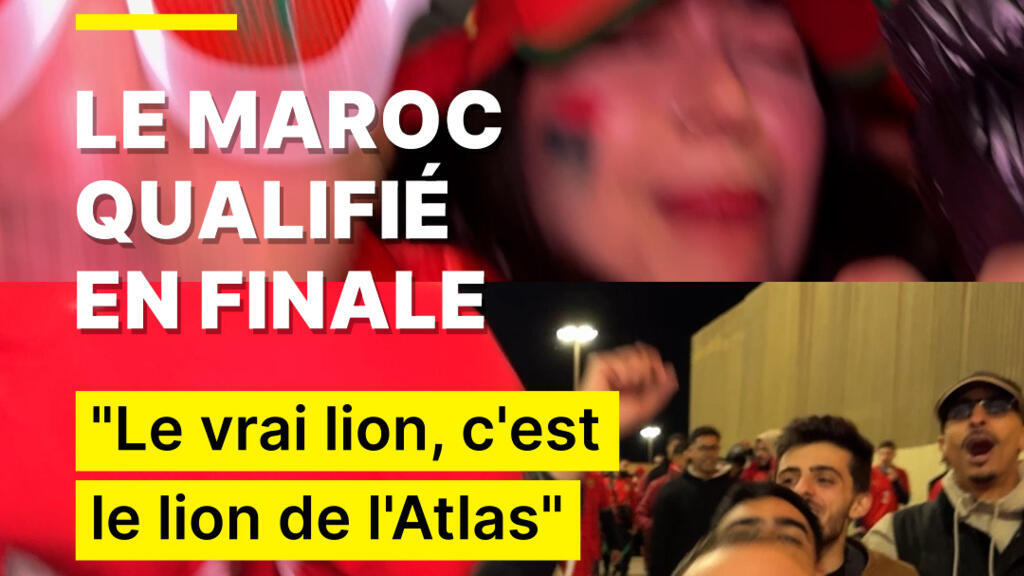 "Le vrai lion, c'est le lion de l'Atlas" : les supporters marocains les yeux vers le Sénégal
