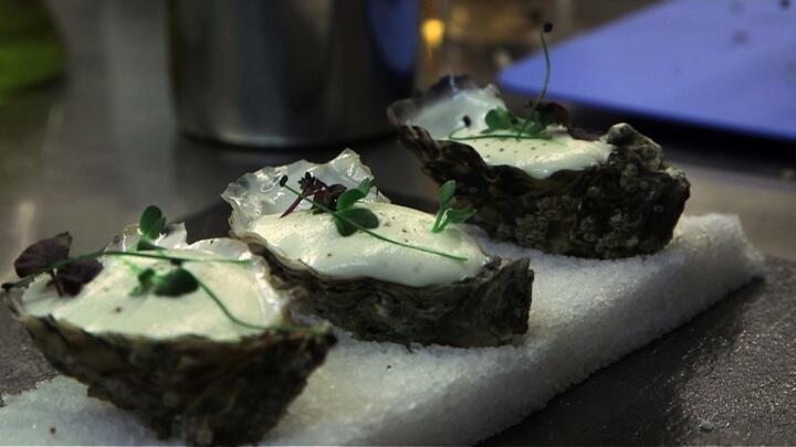 Oysters: the pearls of the Atlantic