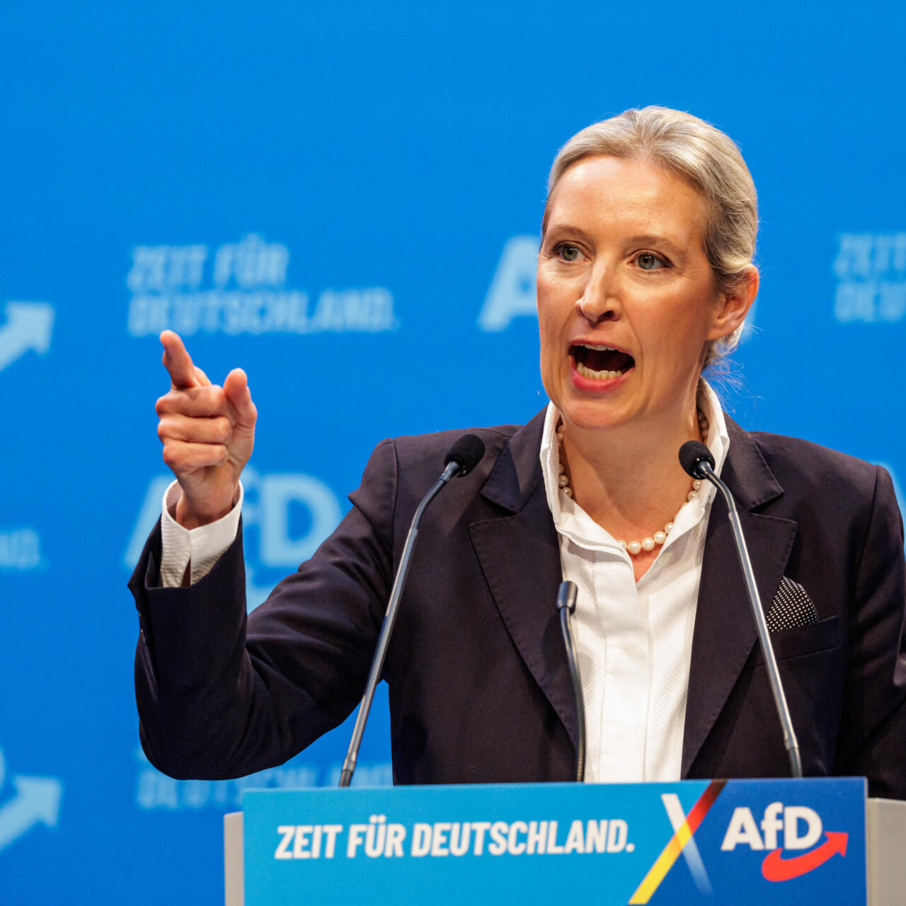 Profil atypique et discours radical : Alice Weidel, la "Dame de fer" de  l'extrême droite allemande
