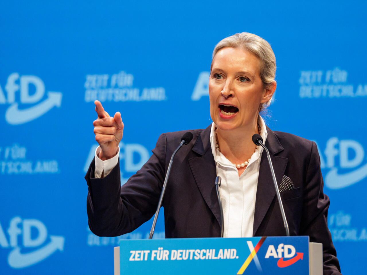 Profil atypique et discours radical : Alice Weidel, la "Dame de fer" de  l'extrême droite allemande