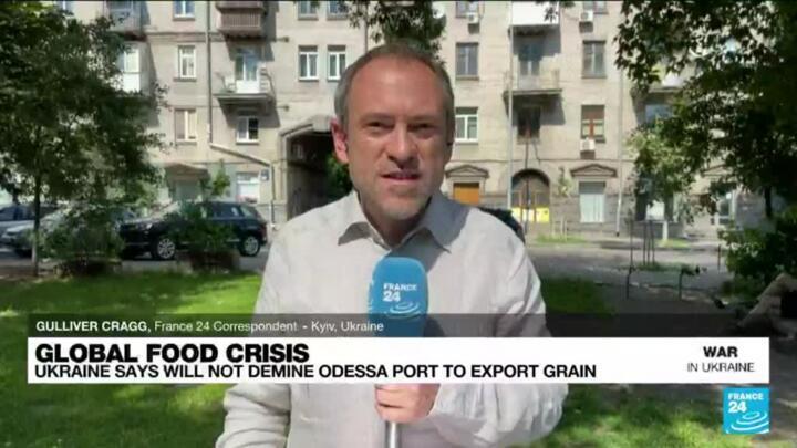'Empty words': Ukraine dismisses Moscow's assurances over grain shipments